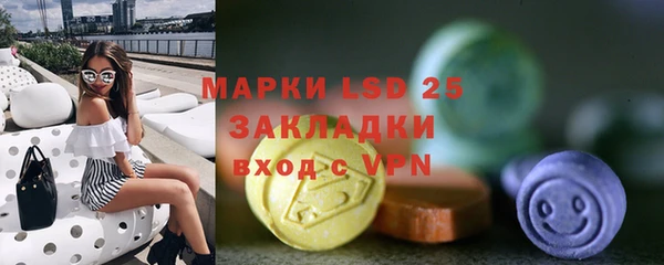 гидра Михайловка