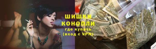 мдпв Надым