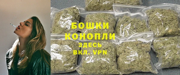 гидра Михайловка