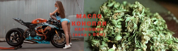 гидра Михайловка