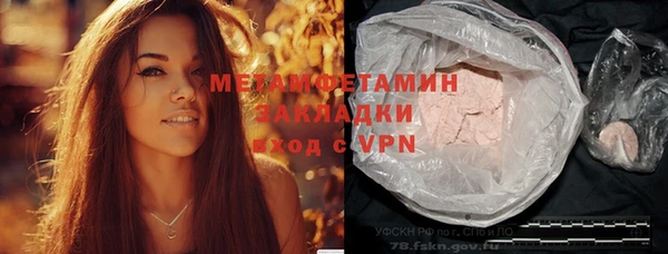 гидра Михайловка