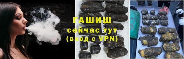 гидра Михайловка