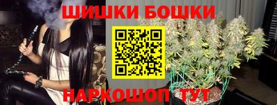 дмт Гай