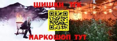 дмт Гай
