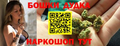дмт Гай