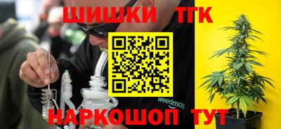 дмт Гай