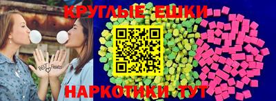 дмт Гай