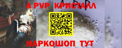 дмт Гай